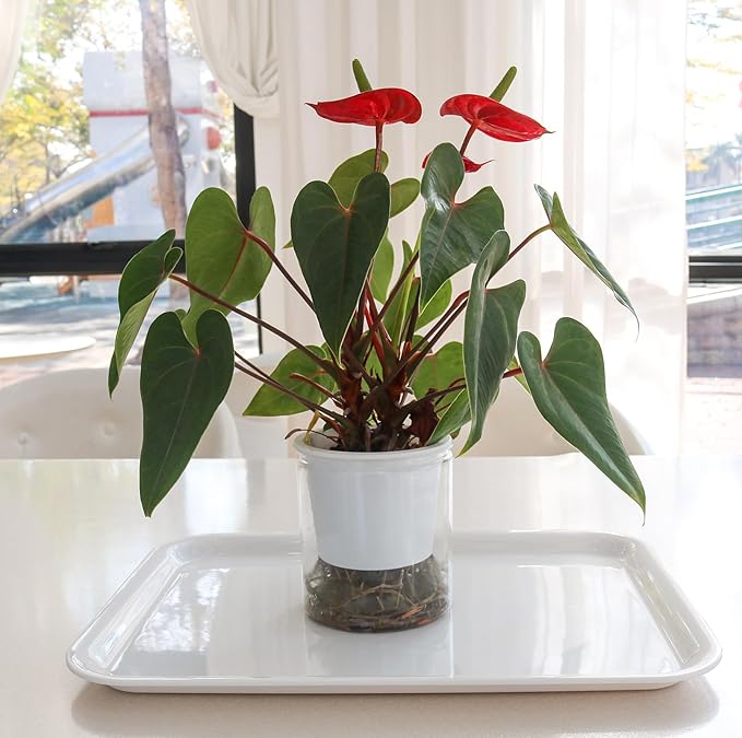 17 x 12 inches Melamine Serving Tray, Dinner Plate Tray, Serving Platter for Appetizers, Breakfast, Drinks, Barbecues and Parties, White