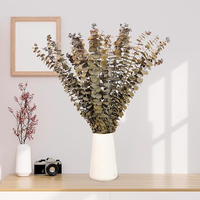 16 Pcs Dried Eucalyptus Stems, 17'' Natural Fresh Eucalyptus Leaves Branches Hanging for Shower, Preserved Real Yellow Plant Live for Home SPA Wall Bathroom Wedding Party Vase Decor