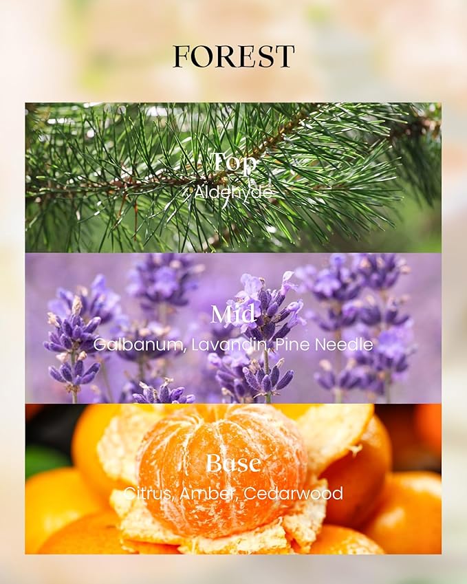 M&SENSE Forest Scented Vegan Soy Candles,8.1oz 42-Hour Slow Burning Time,No Toxin Naturally Scented Candles for Fall Winter Bathtub Aromatherapy Calming Home Fragrance,Fancy Gifts for Women & Men