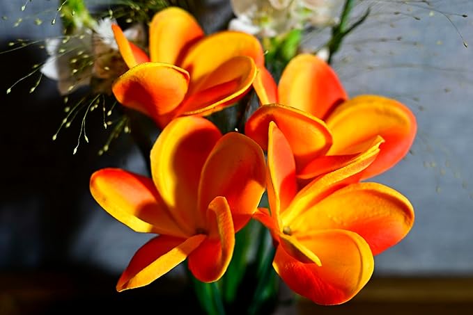 Birthday Gifts for Women 10pcs Gradient Bright Orange Flowers PU Real Touch Flowers Hawaiian Plumeria Frangipani Artificial Flowers for DIY Birthday Gifts Wedding Gifts Home Decor Table Centerpiece