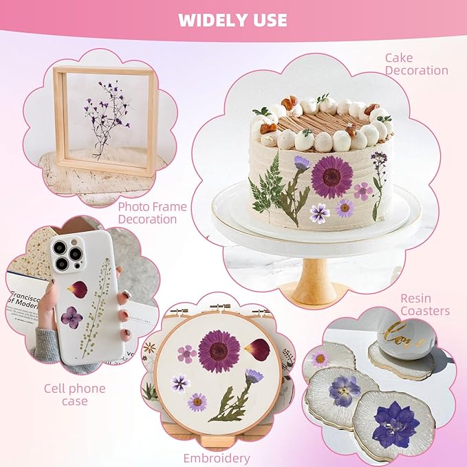 12“ Large Bulk Dried Pressed Flowers for Glass Frame, Real Dry Natural Flower Leaf for Resin Mold, Cake Decor, Holiday Decorations, Phone Cases, Invitations (Purple Haze)