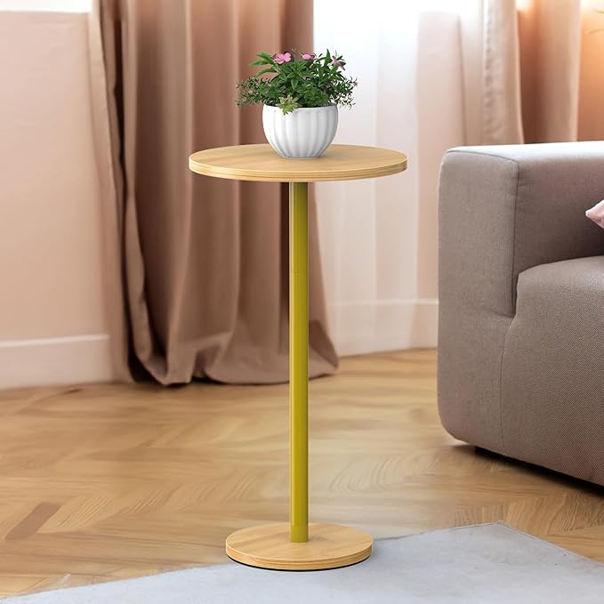 Drink Table Pedestal Side Table for Small Spaces Round Side Table for Living Room Small Round Coffee Table Drink Holder Table for Waiting Room, Sofa