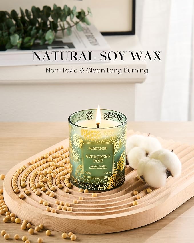 M&SENSE Evergreen Pine Scented Vegan Soy Candles,8.1oz 42-Hour Slow Burning Time,No Toxin Candles for Fall Winter Aromatherapy Calming Home Fragrance,Christmas Gifts for Women & Men