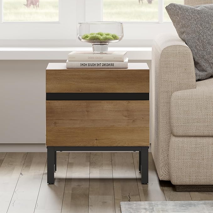 WAMPAT Modern End Table with 2 Drawers, Farmhouse Sofa Table, Wooden Rustic Side Sofa Table Metal Leg for Living Room, Nighstand for Bedroom, Oak