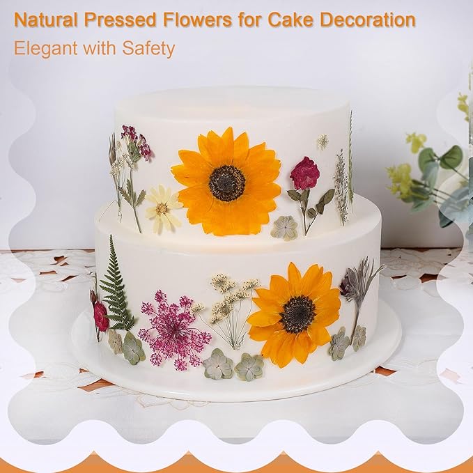 12“ Large Fall Dried Pressed Flowers for Art Crafts, Real Dry Natural Flower Leaf Fruit Bulk for Resin Mold, Cake Decor, Glass Frame (Autumn Sunflower)