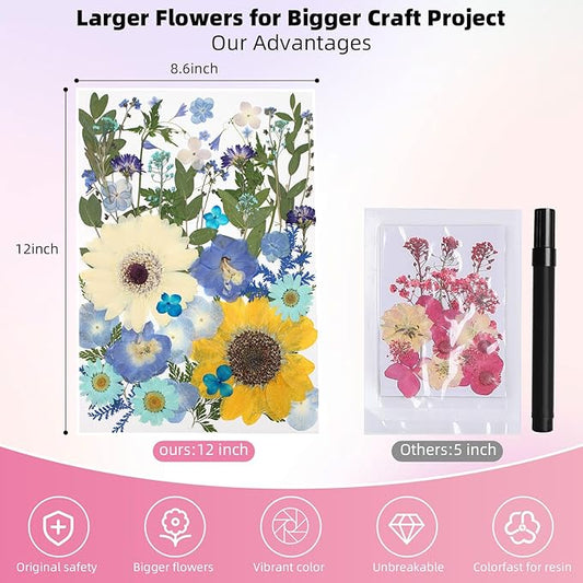 12“ Large Bulk Summer Dried Pressed Flowers for Glass Frame, Real Dry Natural Flower Leaf Daisy for Resin Mold, Cake Decor, Phone Cases (Calm Blue)