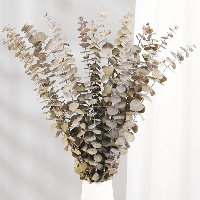 16 Pcs Dried Eucalyptus Stems, 17'' Natural Fresh Eucalyptus Leaves Branches Hanging for Shower, Preserved Real Plant Live for Home SPA Wall Bathroom Wedding Party Vase Decor