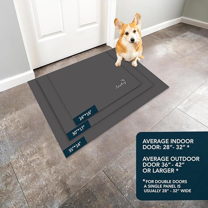 Ultra Thin Door Mat Indoor Entrance, 1/10 in Thin Door Mats for Inside Entry, Non-Slip Rubber Backing Doormat, Absorbent, Quick-Dry, Washable, Low Profile Entryway Mat, 30"X17",Black