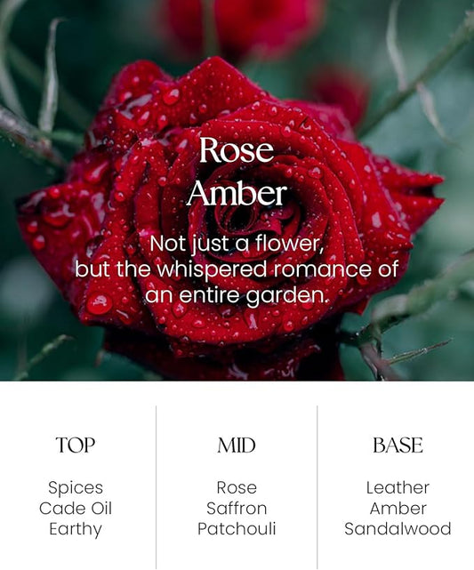 M&SENSE Rose Amber Reed Diffuser Set - 8.79fl oz Home Fragrance Non-Toxic Essential Oil Diffuser with All Natural Sticks, Air Freshner Gifts for Bathroom Bedroom Office Home Decor