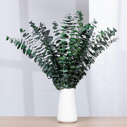 16 Pcs Dried Eucalyptus Stems, 17'' Natural Fresh Eucalyptus Leaves Branches Hanging for Shower, Preserved Real Plant Live Greenery for Home SPA Wall Bathroom Wedding Party Vase Decor