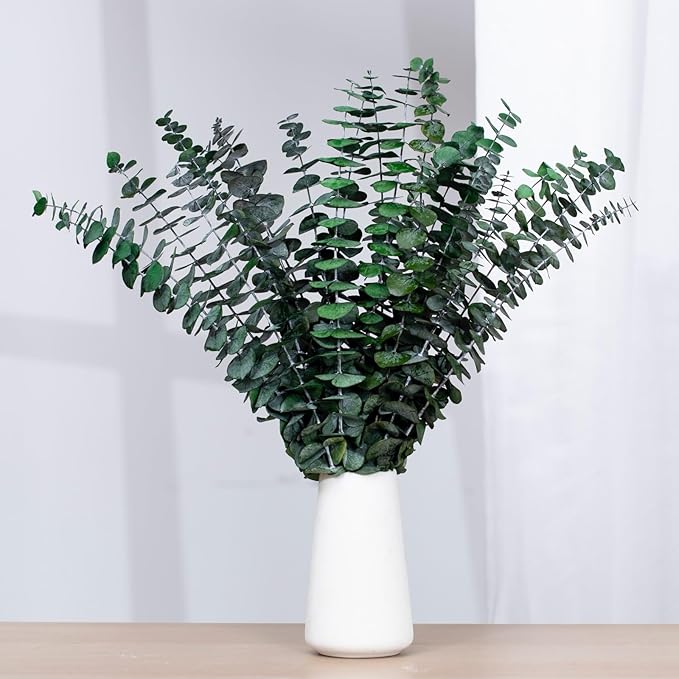 16 Pcs Dried Eucalyptus Stems, 17'' Natural Eucalyptus Leaves Branches Hanging for Shower, Preserved Real Black Plant Live Greenery for Home SPA Wall Bathroom Wedding Party Vase Decor