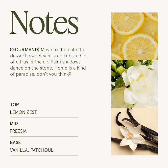 LA JOLIE MUSE Fall Candle | Vanilla Bomb Candle –Vanilla, Lemon Zest & Patchouli | 6 oz Cotton Wick | Natural Soy Wax | 40 Hours Clean Burn | Gift-Ready for Autumn Hosting | Seasonal Home Décor