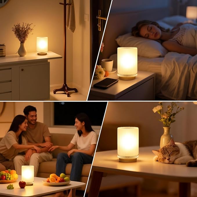Battery Operated Lamp, Cordless Table Lamp with Timer, Desk Bedside Lamps with LED Warm Light, Glass Small Table Lamp for Bedroom, Bathroom, Living Room, Home Decor - Frosted White