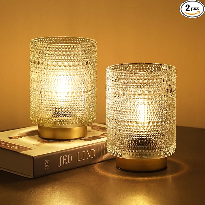 2 Pack Battery Operated Decorative Aesthetic Lamp with Timer for Dorm/Office/ Patio/Bedside/,Small Cordless Table Lamps with LED Warm Bulb for Shelf/Coffee Table/Entryway/ Mantle/Dresser Decor(Clear)