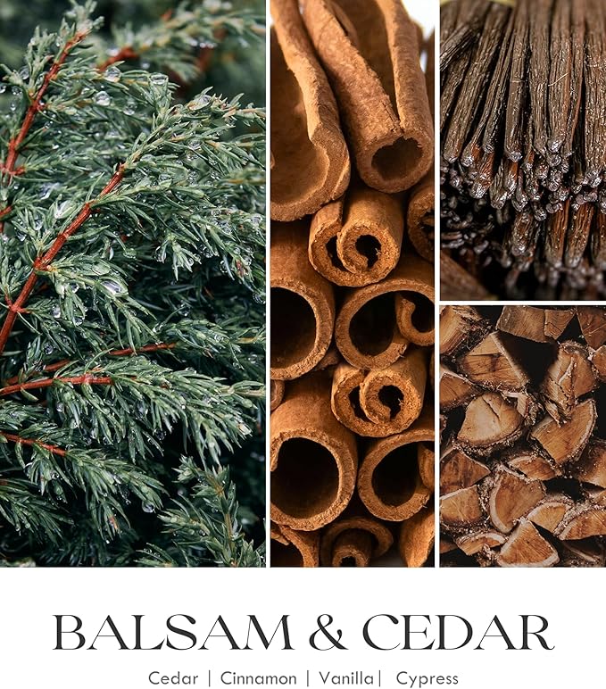 AOOVOO Balsam Cedar Candle - Large Pine Scented Soy Wax Aromatherapy Candles, 22oz