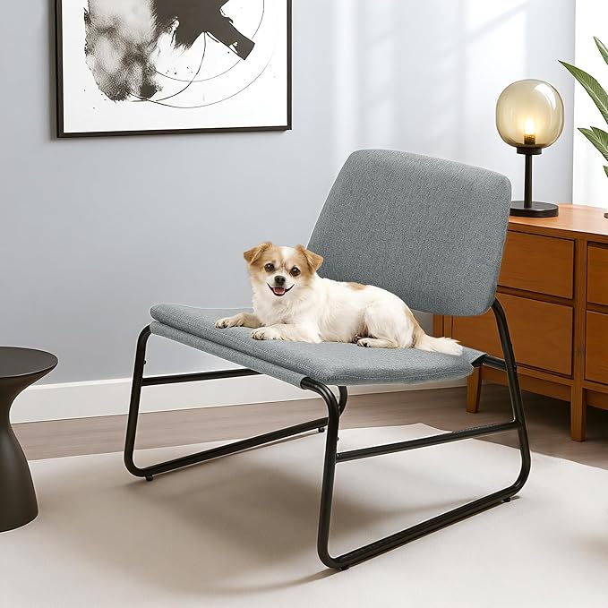 DAICO Modern Accent Chair Comfy Living Room Chair Armless Sling Accent Chairs Upholstered Side Sitting Chairs with Metal Frame for Office Reception Reading Bedroom Waiting Room, Grey