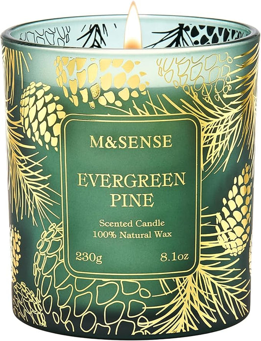 M&SENSE Evergreen Pine Scented Vegan Soy Candles,8.1oz 42-Hour Slow Burning Time,No Toxin Candles for Fall Winter Aromatherapy Calming Home Fragrance,Christmas Gifts for Women & Men