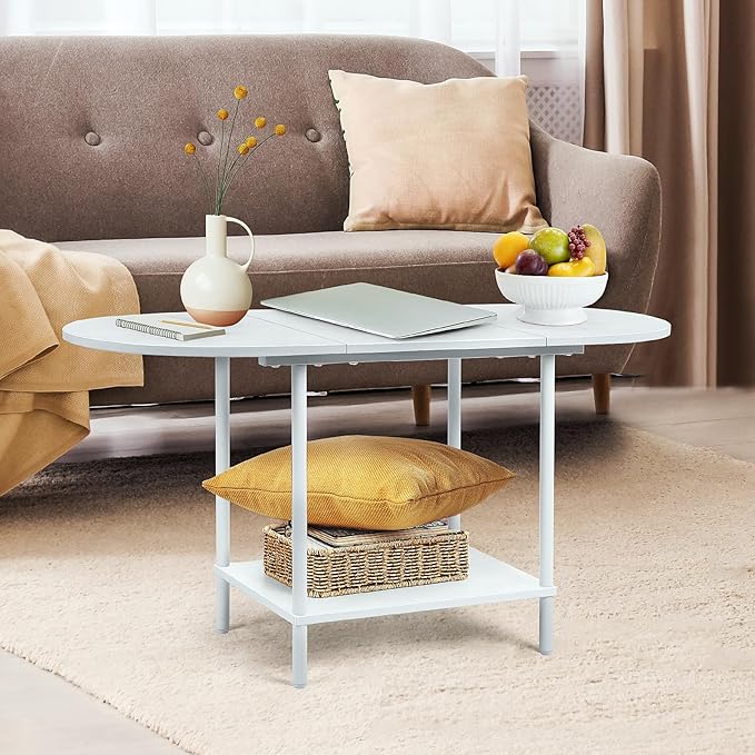 Small Oval Coffee Tables Modern Low Coffee Table for Small Space Mid Century Center Side Table with Open Shelving for Storage, Display, and Furniture Living Room & Home Office