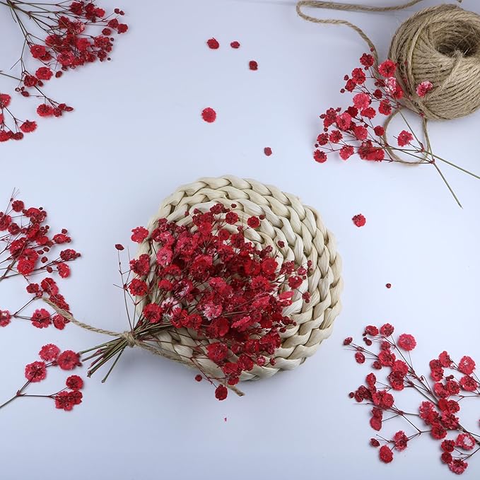 100 Pcs Red Baby's Breath Real Dried Pressed Flowers.Vacuum-Packed Mini Dried Baby's Breath Flowe Specimen +1 Tweezers, for Resin Art /DIY Making Wedding Card/ Home Party Decor.