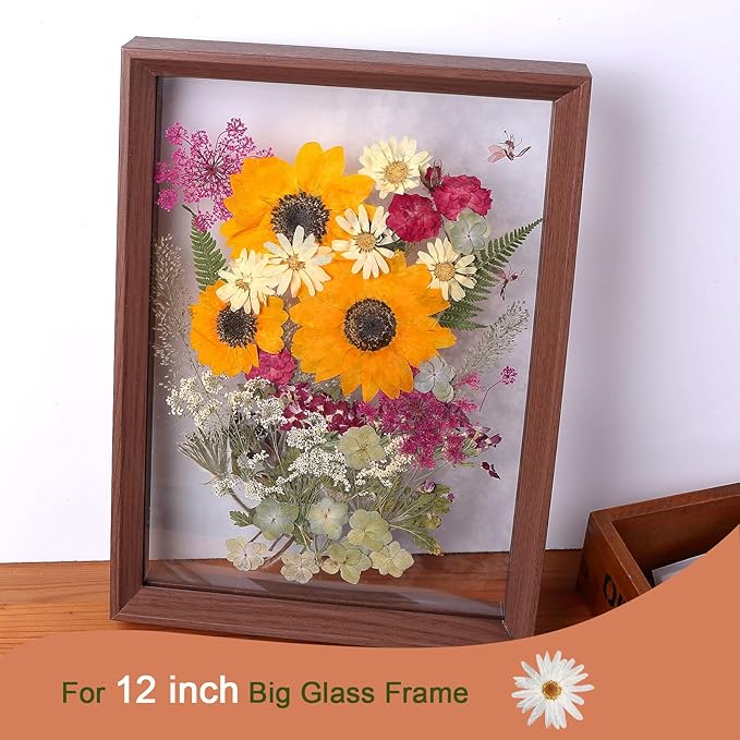 12“ Large Fall Dried Pressed Flowers for Art Crafts, Real Dry Natural Flower Leaf Fruit Bulk for Resin Mold, Cake Decor, Glass Frame (Autumn Sunflower)