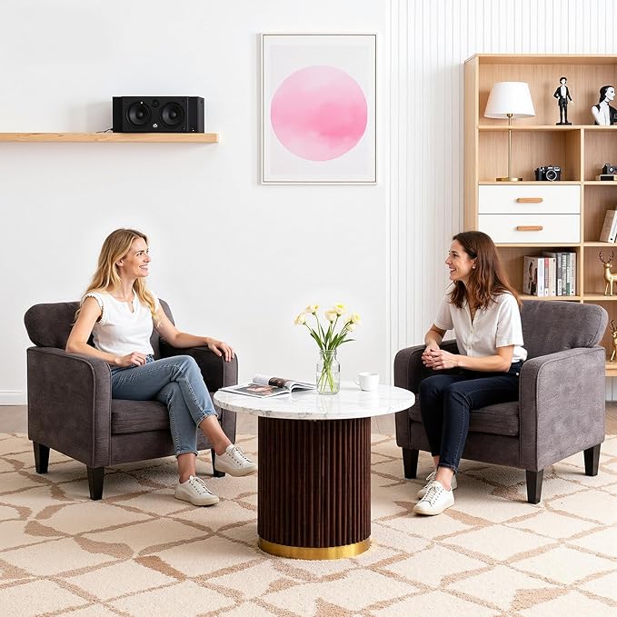 Sweetcrispy Modern Accent Chairs for Living Room, Corner Chairs for Adults, Reading Chair with Armrest and Backrest, Comfy Lounge Chairs for Bedroom, Waiting Room and Reception Room, Grey