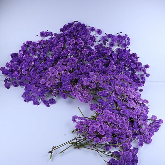 100 Branches Purple Pressed Flowers Bulk Dried Flower Kit for Resin , Dried Babys Breath Flower Natural with Tweezer for Crafts Christmas DIY Gift Scrapbooking Photo Props.