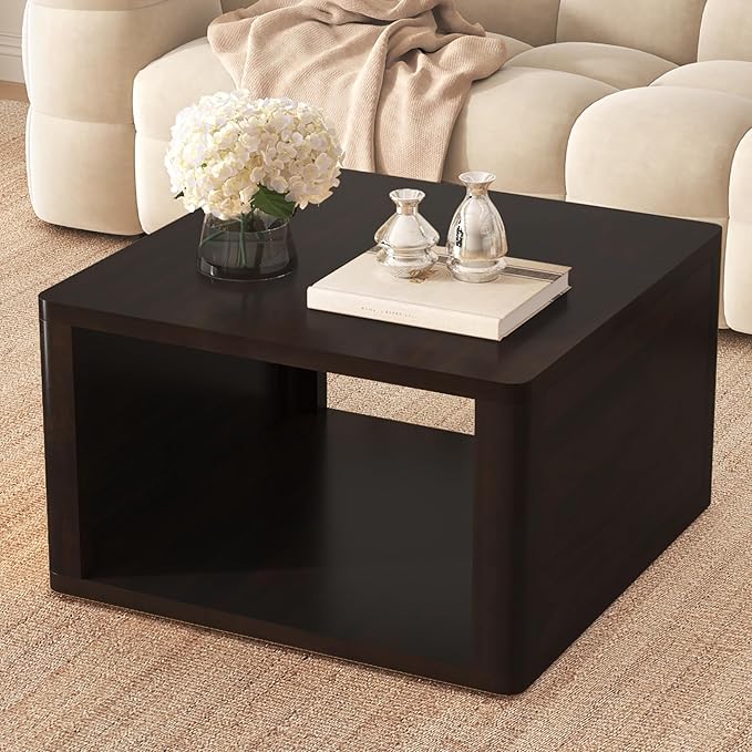 Harper & Bright Designs Square Coffee Table for Living Room in Dark Brown Farmhouse Coffee Table with Storage,2-Tier Center Table with Half Open Storage Compartment in 30.8"