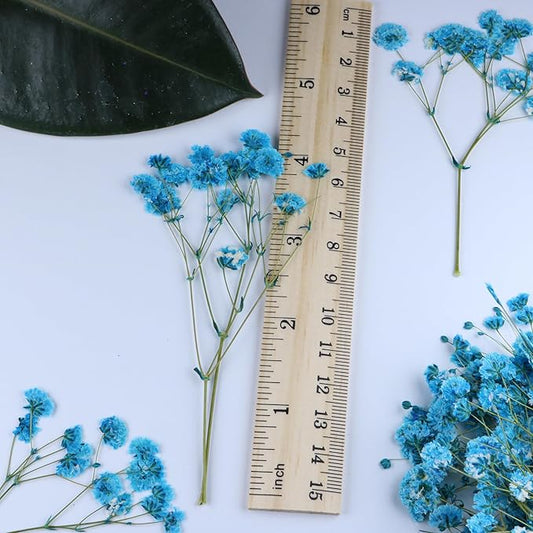 50 Branches Lake Blue Pressed Flowers Bulk Dried Flower Kit for Resin , Dried Babys Breath Flower Natural with Tweezer for Crafts Christmas DIY Gift Scrapbooking Photo Props.