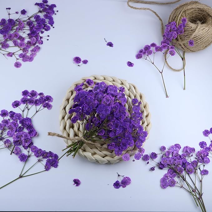 100 Branches Purple Pressed Flowers Bulk Dried Flower Kit for Resin , Dried Babys Breath Flower Natural with Tweezer for Crafts Christmas DIY Gift Scrapbooking Photo Props.