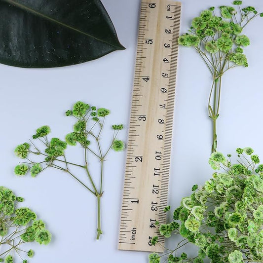 100 Pcs Green Flat Dried Baby's Breath Pressed Flower Bulk Bundles +1 Tweezers Set.Real Gypsophila Natural Dried Flowersr for Making Blessing Card/Resin Art/ DIY Candle Decor.