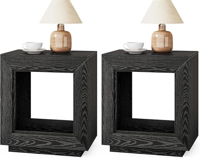 LITTLE TREE End Table with Storage, Set of 2 Wooden Square Side Table, Industrial Sofa Side Tables for Living Room, 2-Tier Bedside Table Nightstand Chair Side Table for Bedroom, Small Spaces, Black