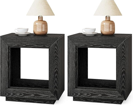LITTLE TREE End Table with Storage, Set of 2 Wooden Square Side Table, Industrial Sofa Side Tables for Living Room, 2-Tier Bedside Table Nightstand Chair Side Table for Bedroom, Small Spaces, Black