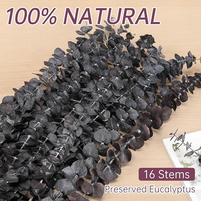 16 Pcs Dried Eucalyptus Stems, 17'' Natural Fresh Eucalyptus Leaves Branches Hanging for Shower, Preserved Real Purple Plant Live for Home SPA Wall Bathroom Wedding Party Vase Decor