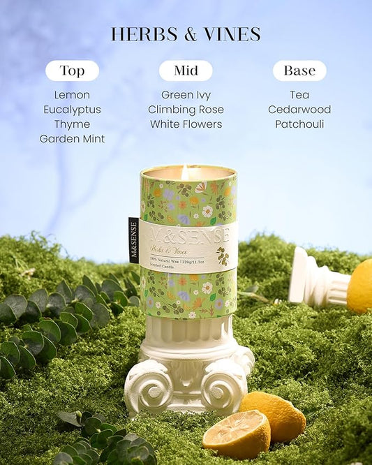 M&SENSE Herbs Vines Scented Candle, Medium Jar Candle 11.3oz Natural Soy Wax for Home Scented, Floral Candles Gift for Spring Holiday, Up to 70 Hours Burning Long-Lasting Fragrance