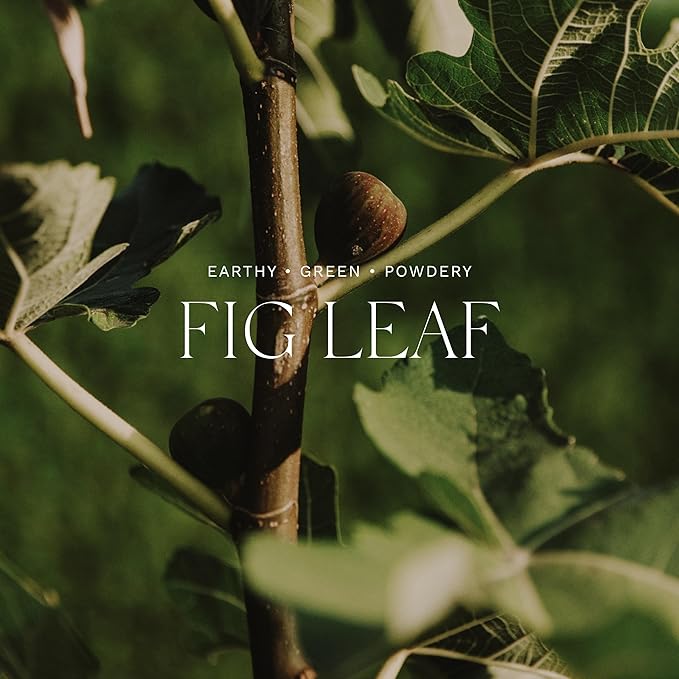 Antica Farmacista Home Ambiance Diffuser - Long-Lasting Reed Scent Diffuser - Luxury Room Freshener Gift - Fig Leaf, 16.9 fl oz