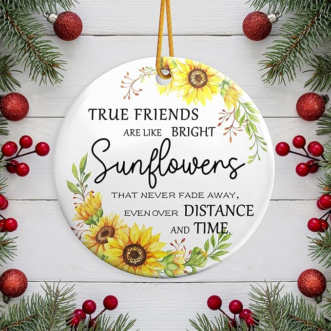 Friendship Gifts for Women Friends Best Friends Christmas Ornaments Gifts 2025,Friendship Christmas Ornament for Women Men Friends Female, Sister,Keepsake Christmas Tree Decoration Ceramic Ornaments