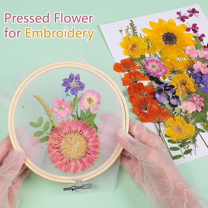 12“ Large Bulk Summer Dried Pressed Flowers for Glass Frame, Real Dry Natural Flower Leaf Daisy for Resin Mold, Cake Decor, Phone Cases (Gorgeous)