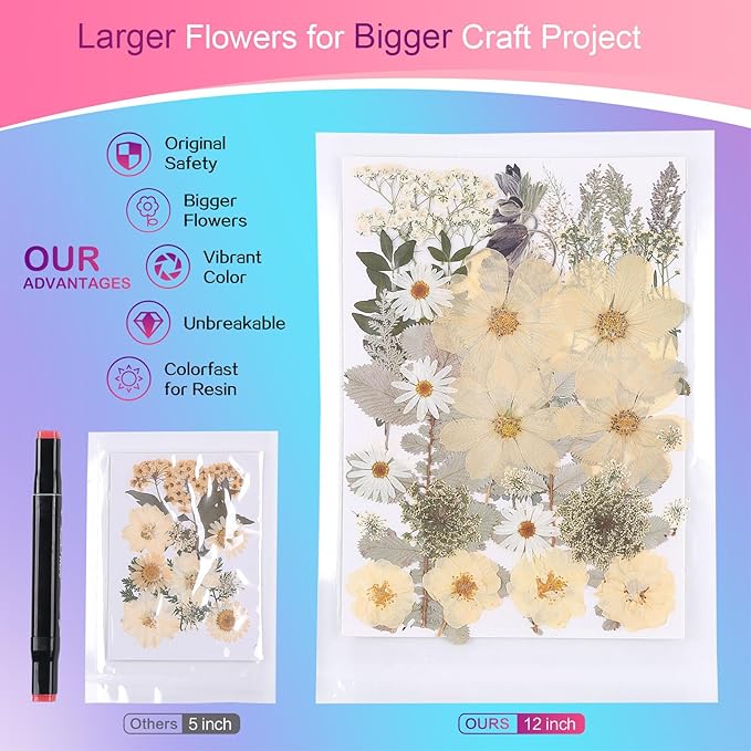 12“ Large Dried Pressed Flowers for Art Crafts, Real Dry Natural Flower Leaf Fruit Bulk for Resin Mold, Cake Decor, Glass Frame (Winter Silver)