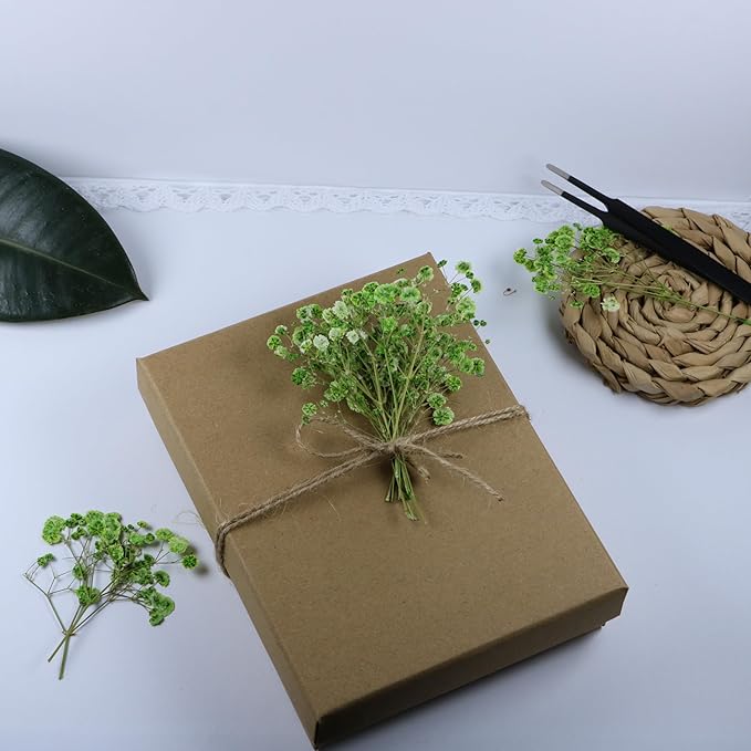 100 Pcs Green Flat Dried Baby's Breath Pressed Flower Bulk Bundles +1 Tweezers Set.Real Gypsophila Natural Dried Flowersr for Making Blessing Card/Resin Art/ DIY Candle Decor.