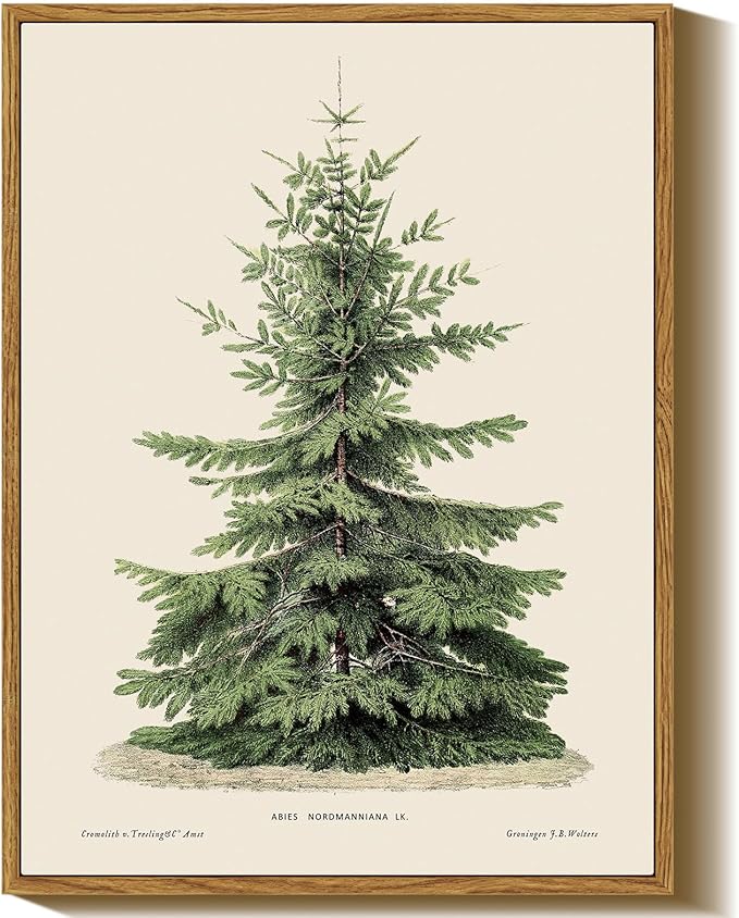InSimSea Framed Canvas Wall Art, Vintage Christmas Decor, Living Room Pine Tree Winter Artwork, Botanical Fir Decor for Bedroom Bathroom, Cottagecore Xmas Holiday Decorations Gifts, 12x16 Inch