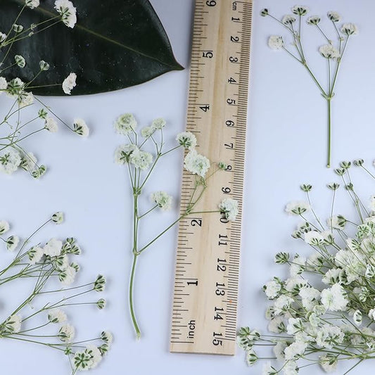 100 Pcs White Natural Baby's Breath Real Dried Pressed Flowers ,for Scrapbooking Supplies Card Making Supplies Resin Jewelry Making Soap and Candle Making.