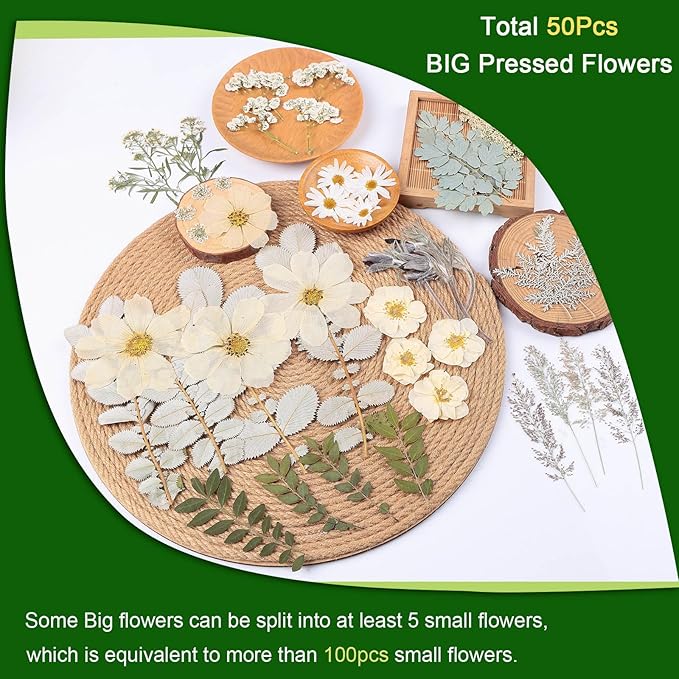 12“ Large Dried Pressed Flowers for Art Crafts, Real Dry Natural Flower Leaf Fruit Bulk for Resin Mold, Cake Decor, Glass Frame (Winter Silver)