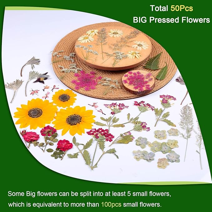 12“ Large Fall Dried Pressed Flowers for Art Crafts, Real Dry Natural Flower Leaf Fruit Bulk for Resin Mold, Cake Decor, Glass Frame (Autumn Sunflower)