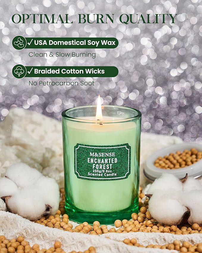 M&SENSE Cederwood Scented Candles, Classic Size 8.8 oz Glitter Jar Candle, Holiday Gifts for Women, Strong Scented Natural Soy Candle for Winter Home Decor, 50 Hours Long Burning Candles