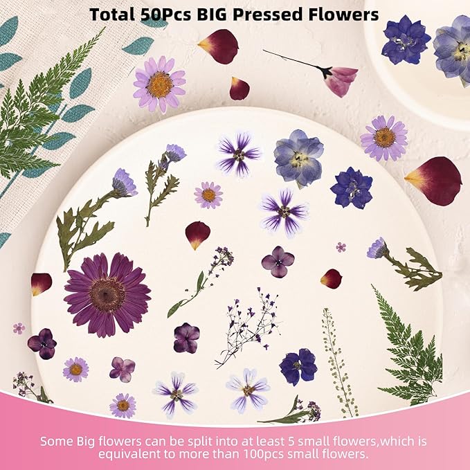 12“ Large Bulk Dried Pressed Flowers for Glass Frame, Real Dry Natural Flower Leaf for Resin Mold, Cake Decor, Holiday Decorations, Phone Cases, Invitations (Purple Haze)