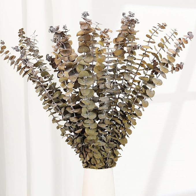 16 Pcs Dried Eucalyptus Stems, 17'' Natural Fresh Eucalyptus Leaves Branches Hanging for Shower, Preserved Real Yellow Plant Live for Home SPA Wall Bathroom Wedding Party Vase Decor