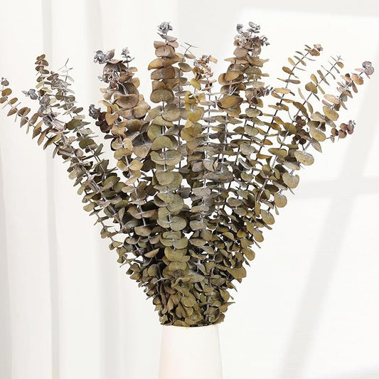 16 Pcs Dried Eucalyptus Stems, 17'' Natural Fresh Eucalyptus Leaves Branches Hanging for Shower, Preserved Real Yellow Plant Live for Home SPA Wall Bathroom Wedding Party Vase Decor