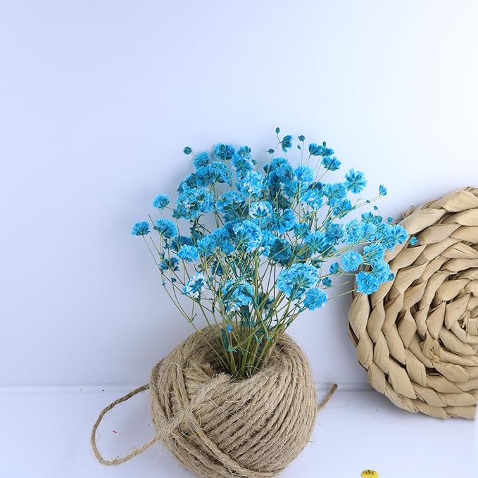 100 Branches Lake Blue Pressed Flowers Bulk Dried Flower Kit for Resin , Dried Babys Breath Flower Natural with Tweezer for Crafts Christmas DIY Gift Scrapbooking Photo Props.