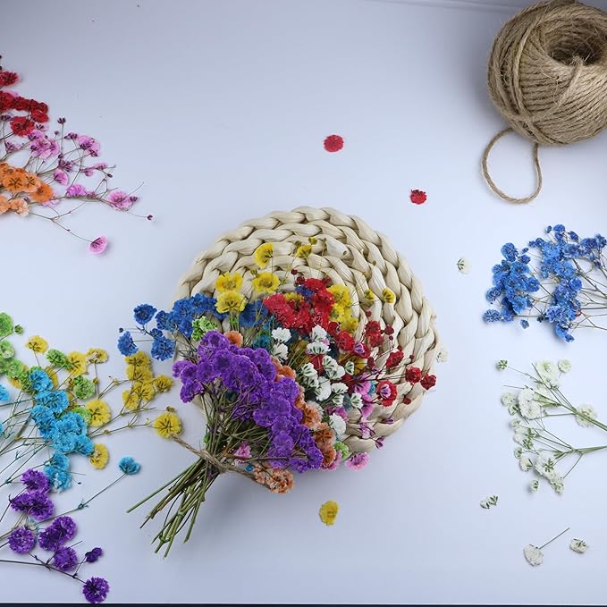 Colorful 45 Pcs Minir Baby's Breath Flowe for Resin Art / Invitations Card Decor/Bookmark Jewelry DIY Craft, Real Dried Pressed Baby Breath Flowers Bulk with 1 Tweezers.