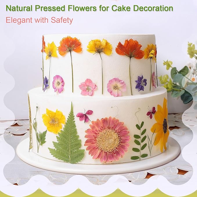 12“ Large Bulk Summer Dried Pressed Flowers for Glass Frame, Real Dry Natural Flower Leaf Daisy for Resin Mold, Cake Decor, Phone Cases (Gorgeous)